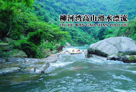 饥饿的哈利